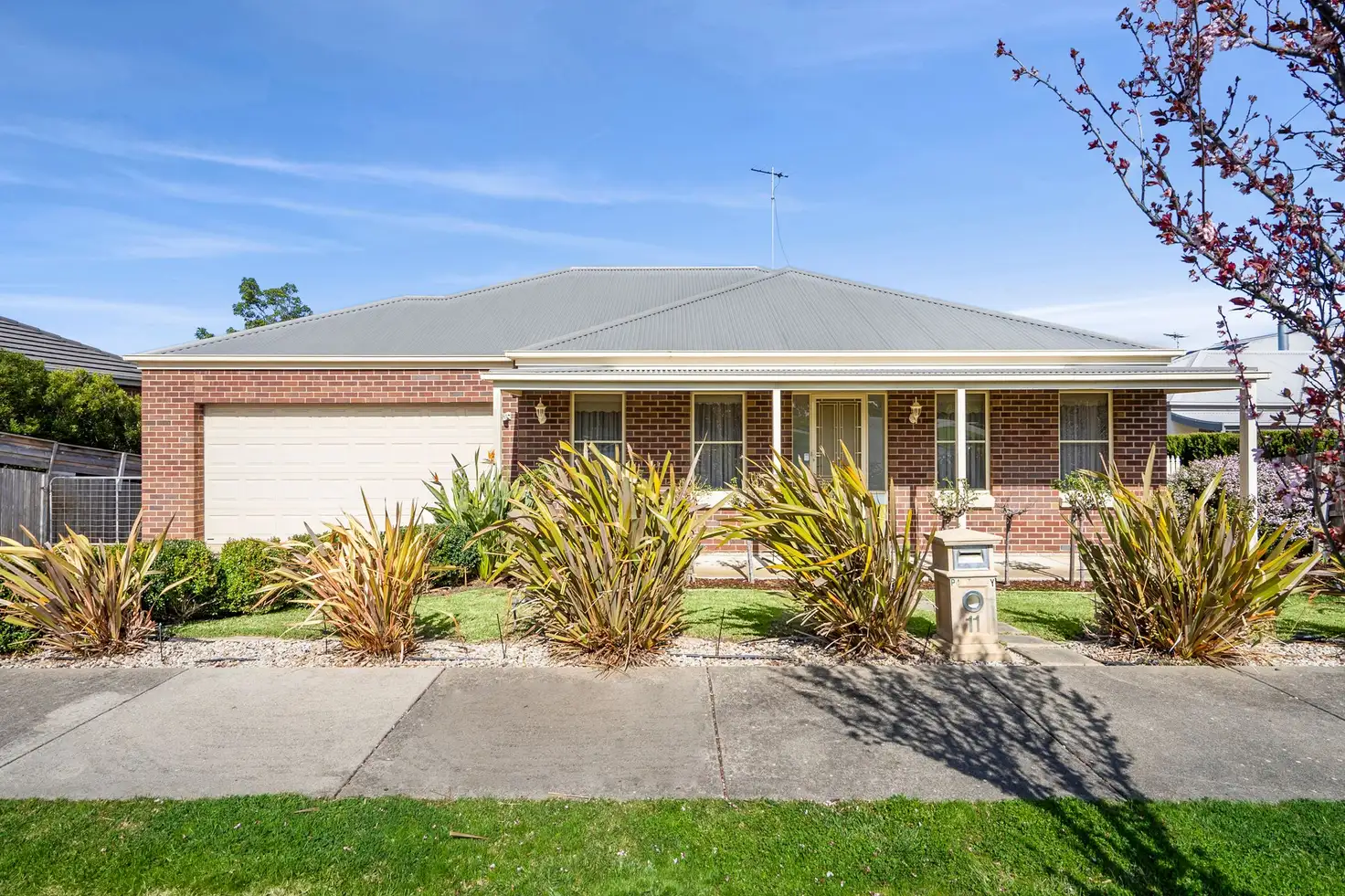 Main view of Homely house listing, 11 Pinto Way, Highton VIC 3216