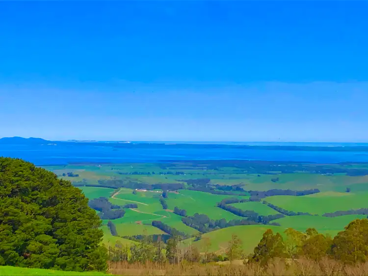 Third view of Homely rural property listing, 115 Mount Best Tin Mine Rd, Toora North VIC 3962