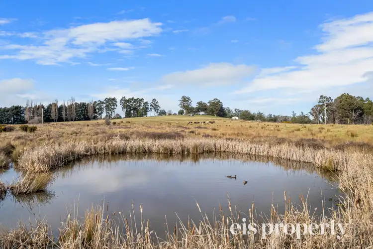 Fourth view of Homely house listing, 303 Braeside Road, Franklin TAS 7113