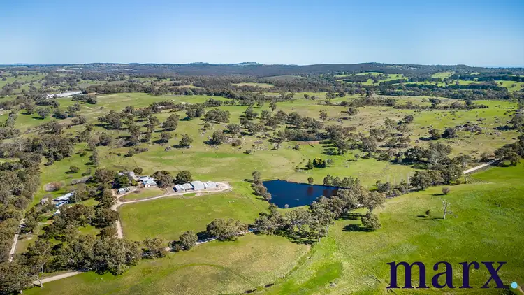 Second view of Homely rural property listing, 75 Trig Point Hill Road, Angaston SA 5353