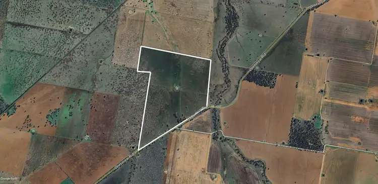 Fifth view of Homely rural property listing, Mafeking Wirrinya Rd, Forbes NSW 2871