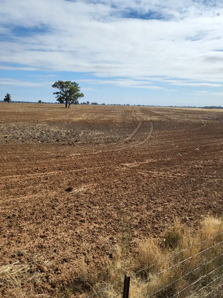 Sixth view of Homely rural property listing, Mafeking Wirrinya Rd, Forbes NSW 2871