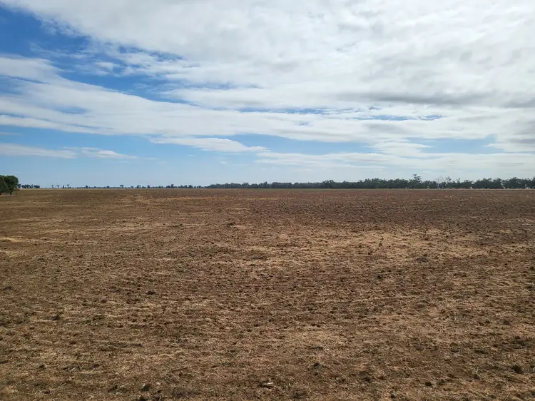 Seventh view of Homely rural property listing, Mafeking Wirrinya Rd, Forbes NSW 2871