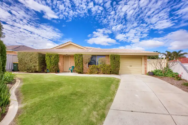 Main view of Homely house listing, 12 Boab Court, Alexander Heights WA 6064