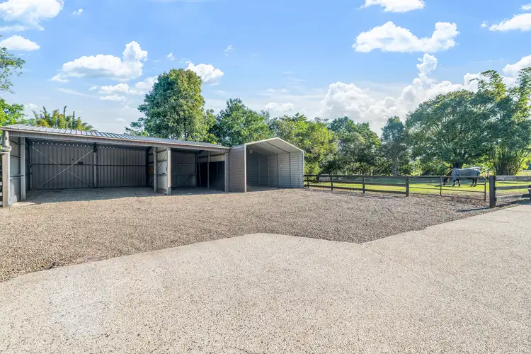 Second view of Homely house listing, 61 Rainforest Place, Mooloolah Valley QLD 4553