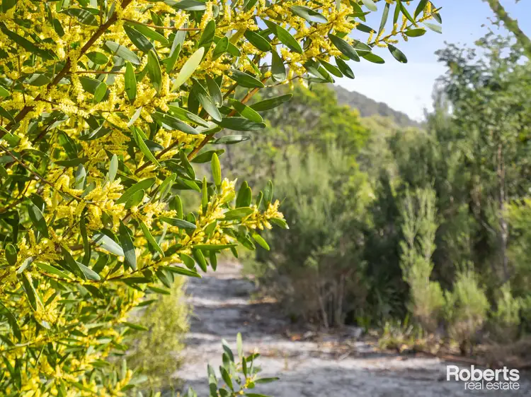 Sixth view of Homely land listing, 315 Harveys Farm Road, Bicheno TAS 7215