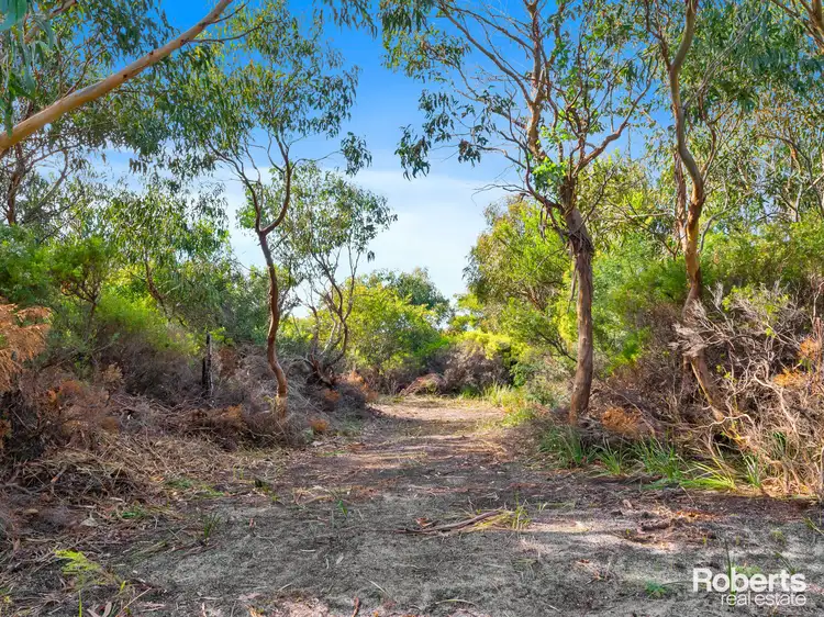 Seventh view of Homely land listing, 315 Harveys Farm Road, Bicheno TAS 7215