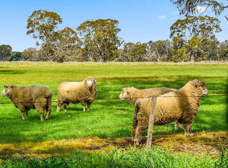 1909 Langkoop Road, Naracoorte SA 5271