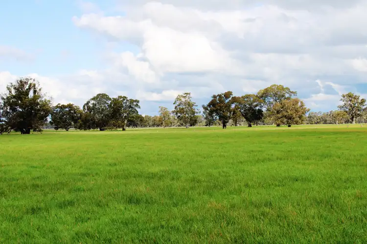Second view of Homely rural property listing, 1909 Langkoop Road, Naracoorte SA 5271