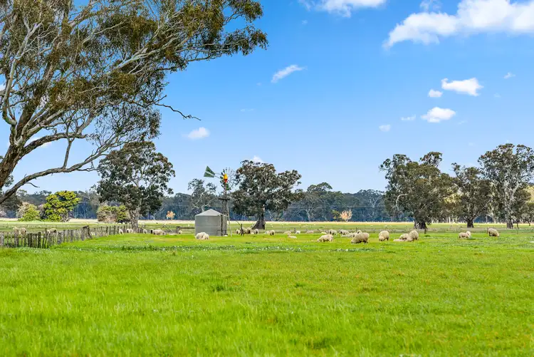 Sixth view of Homely rural property listing, 1909 Langkoop Road, Naracoorte SA 5271