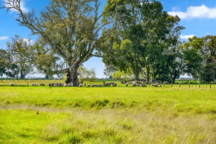 Seventh view of Homely rural property listing, 1909 Langkoop Road, Naracoorte SA 5271