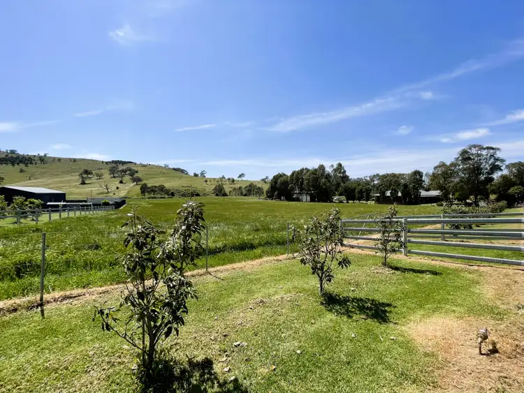 Sixth view of Homely land listing, 255 Punch Street, Gundagai NSW 2722