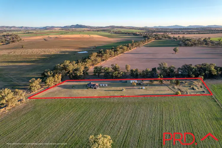 Main view of Homely house listing, 150 Camerons Road, Tamworth NSW 2340