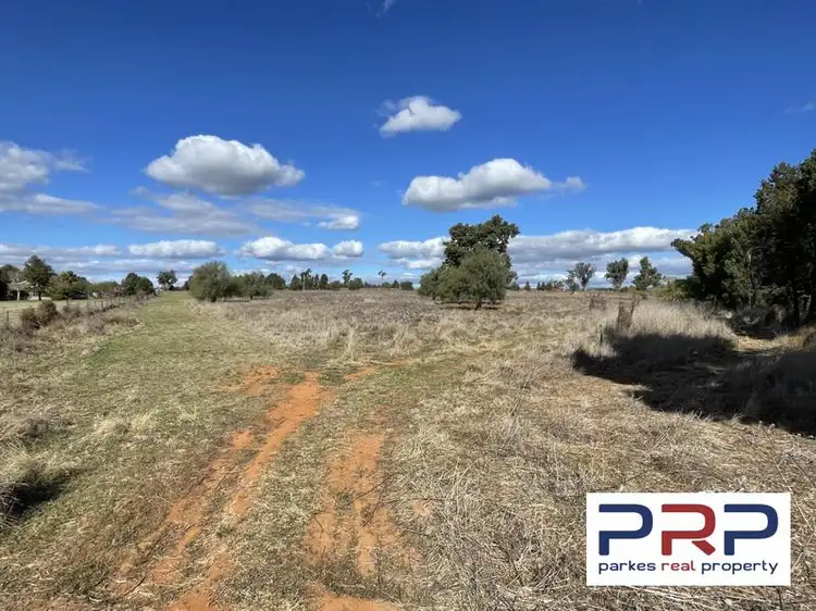 Main view of Homely land listing, 48 Furners Lane, Trewilga NSW 2869