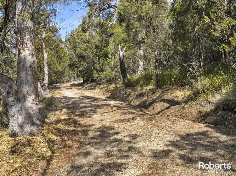 Fourth view of Homely house listing, 89 Rosedale Road, Bicheno TAS 7215