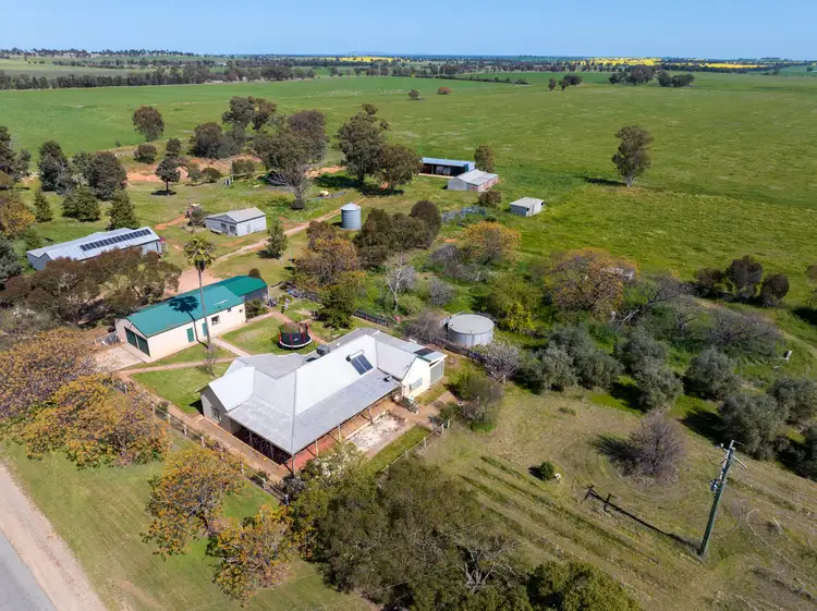Main view of Homely rural property listing, Kincora & Poachers Millwood Road, Coolamon NSW 2701