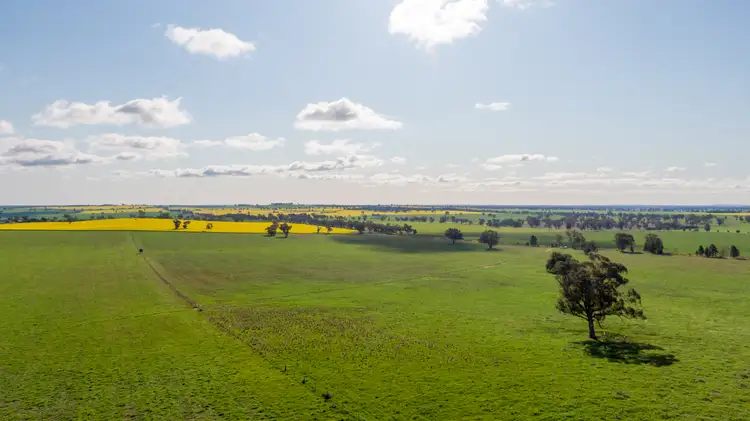 Second view of Homely rural property listing, Kincora & Poachers Millwood Road, Coolamon NSW 2701
