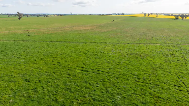 Third view of Homely rural property listing, Kincora & Poachers Millwood Road, Coolamon NSW 2701