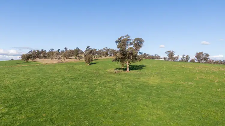Sixth view of Homely rural property listing, Kincora & Poachers Millwood Road, Coolamon NSW 2701