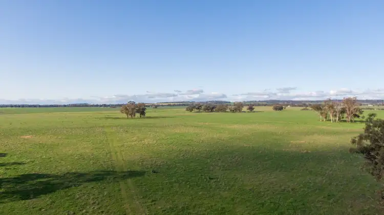 Seventh view of Homely rural property listing, Kincora & Poachers Millwood Road, Coolamon NSW 2701
