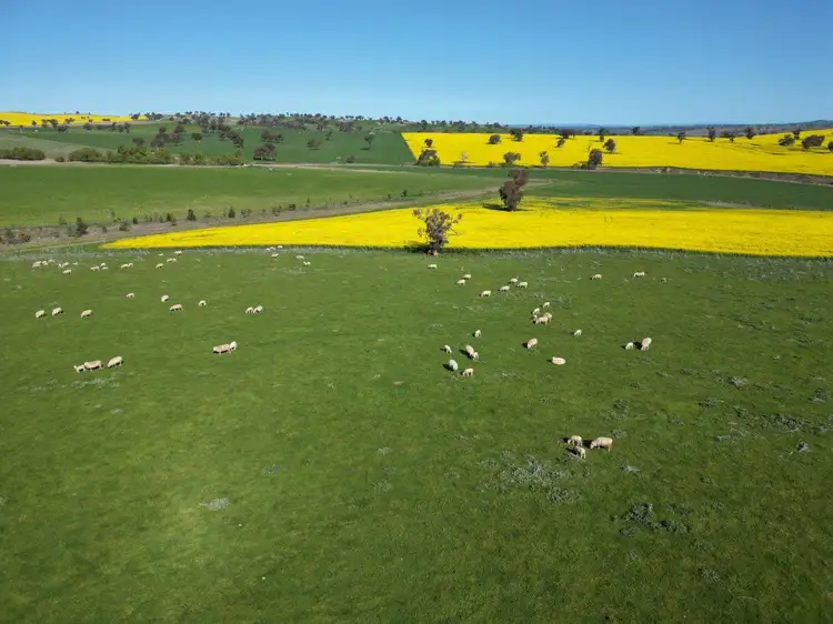 Main view of Homely rural property listing, 'Kanoona' 170 Kanoona Road, Harden NSW 2587
