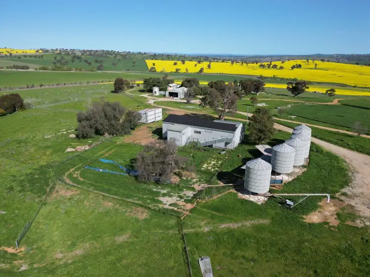 Sixth view of Homely rural property listing, 'Kanoona' 170 Kanoona Road, Harden NSW 2587