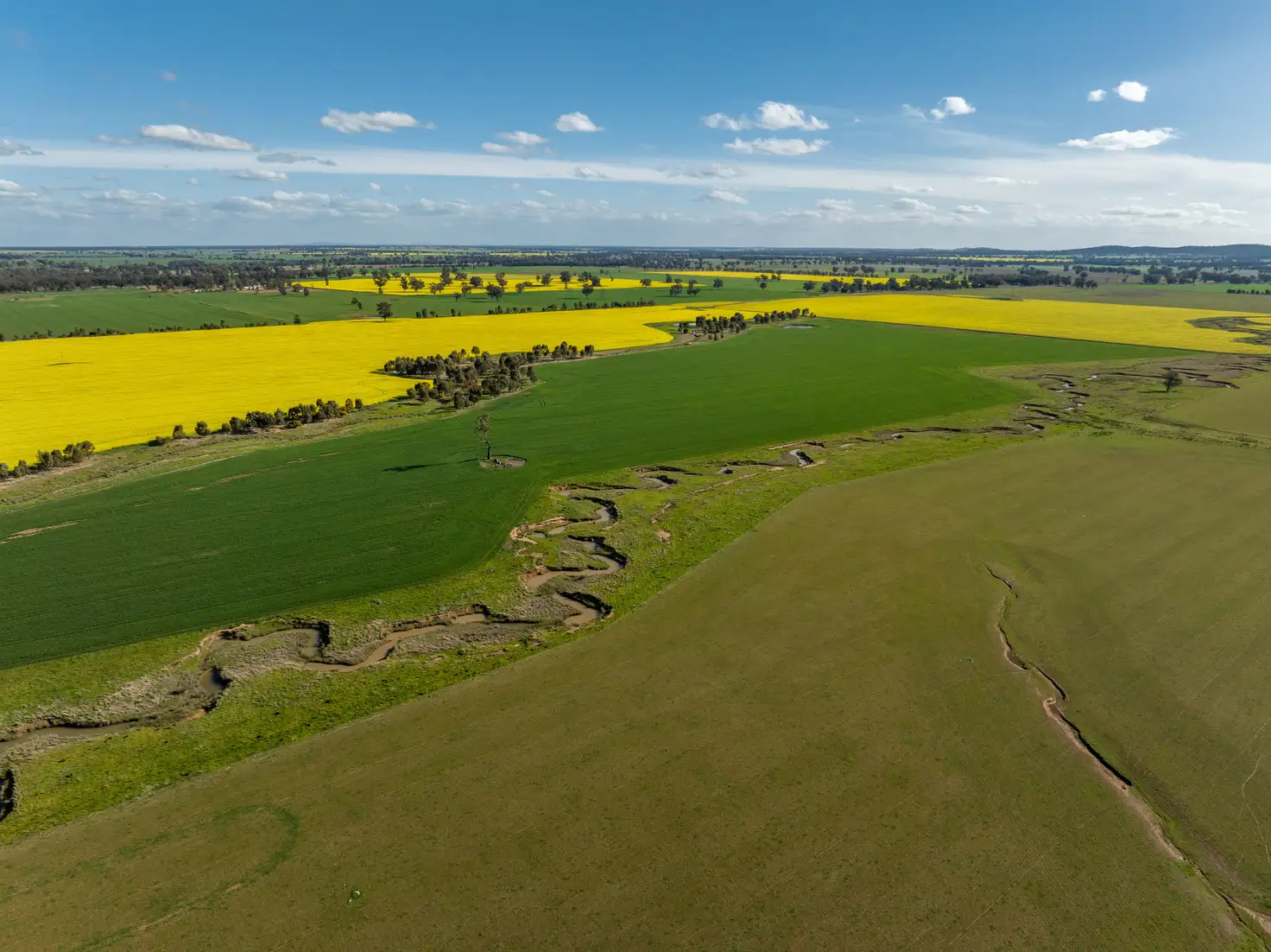 Main view of Homely rural property listing, 'Ingaladdie' 101 Piney Range Hall Road, Piney Range NSW 2810