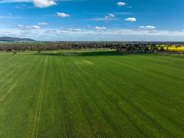 Third view of Homely rural property listing, 'Ingaladdie' 101 Piney Range Hall Road, Piney Range NSW 2810