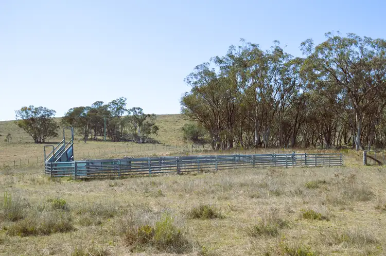 1453 Windeyer Road, Mudgee NSW 2850