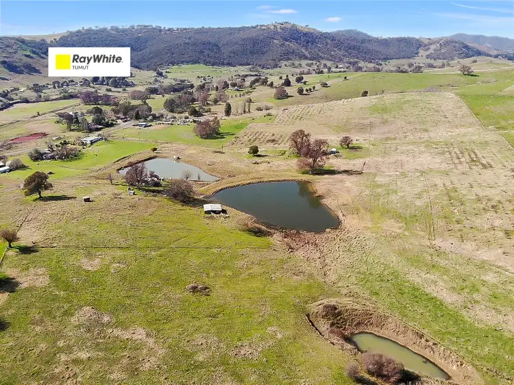 585 Grahamstown Road, Adelong NSW 2729