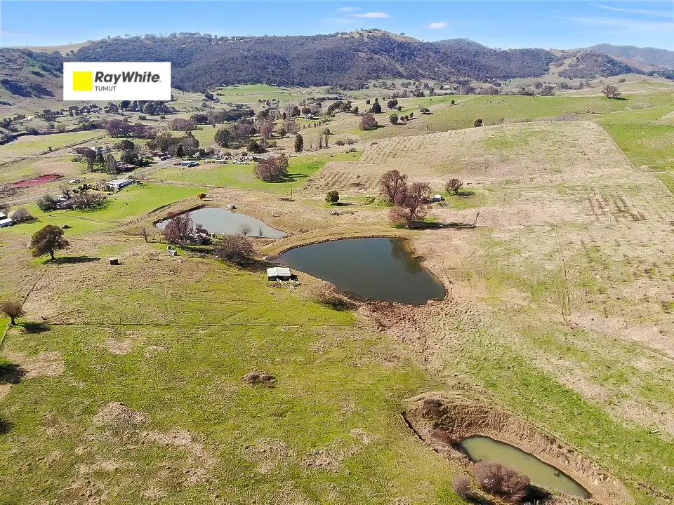 Main view of Homely rural property listing, 585 Grahamstown Road, Adelong NSW 2729