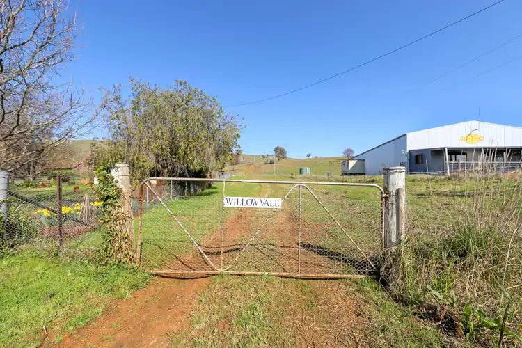 Second view of Homely rural property listing, 585 Grahamstown Road, Adelong NSW 2729