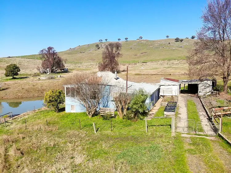 Third view of Homely rural property listing, 585 Grahamstown Road, Adelong NSW 2729