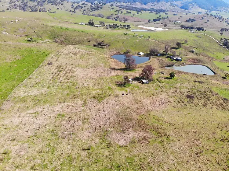 Fourth view of Homely rural property listing, 585 Grahamstown Road, Adelong NSW 2729