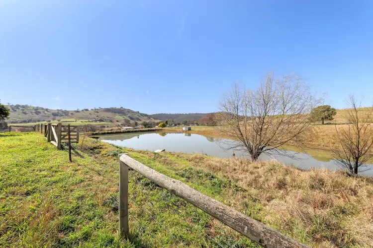 Fifth view of Homely rural property listing, 585 Grahamstown Road, Adelong NSW 2729
