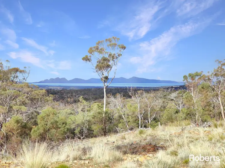 LOT 1, 681 Crossins Road, Swansea TAS 7190