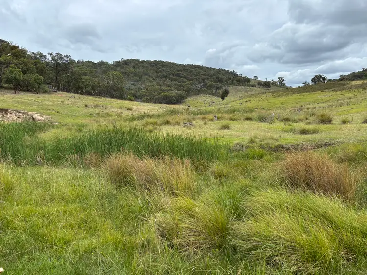 Sixth view of Homely rural property listing, 1016 Ullamalla Road, Mudgee NSW 2850