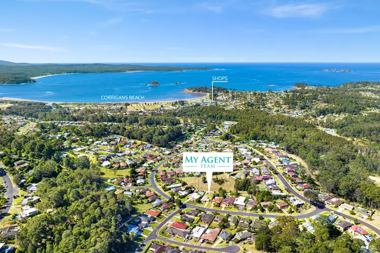 Fifth view of Homely house listing, 55 Melaleuca Crescent, Catalina NSW 2536