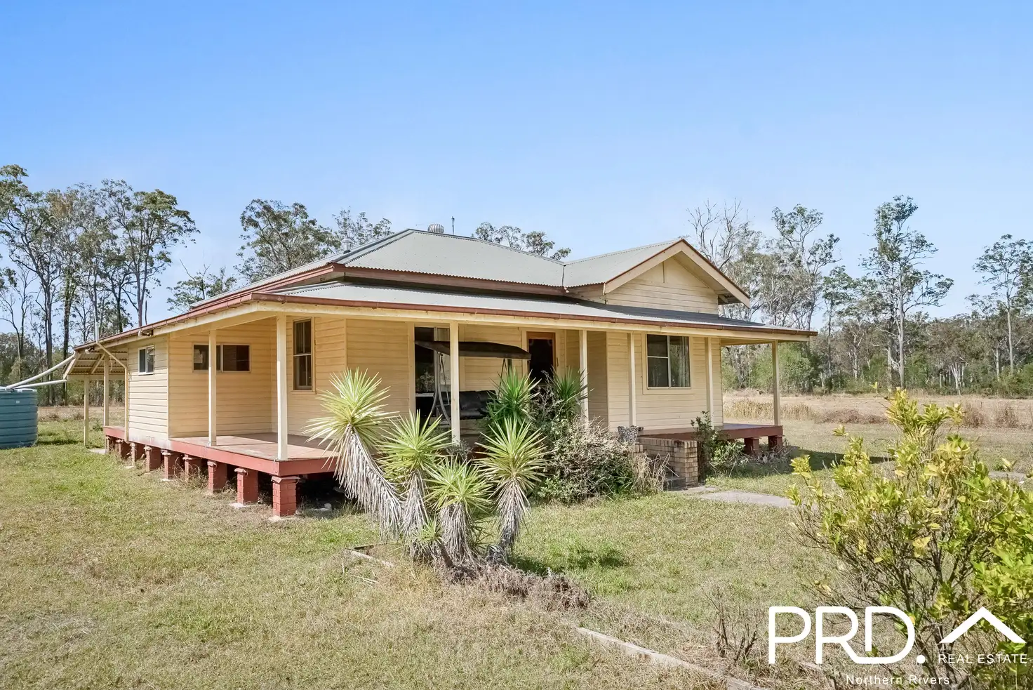 Main view of Homely rural property listing, 204 Mothersoles Road, Ellangowan NSW 2470