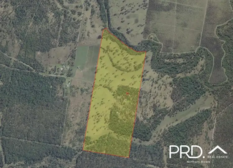 Fifth view of Homely rural property listing, 204 Mothersoles Road, Ellangowan NSW 2470