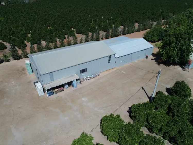 Second view of Homely rural property listing, Farm 389 Whitton Road, Leeton NSW 2705