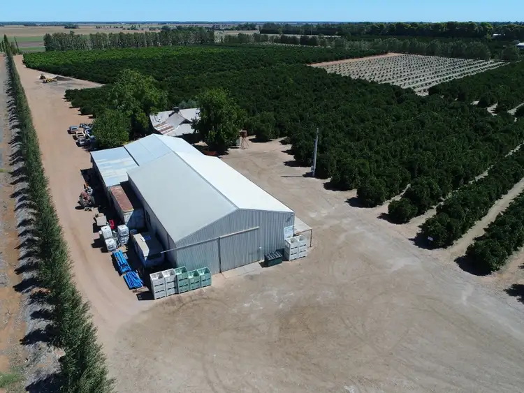 Fourth view of Homely rural property listing, Farm 389 Whitton Road, Leeton NSW 2705