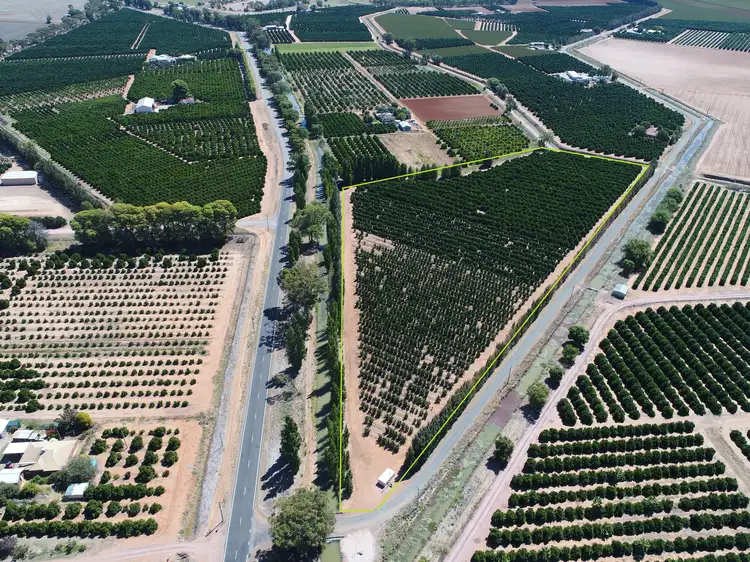 Farm 729-2 Garner Road, Leeton NSW 2705