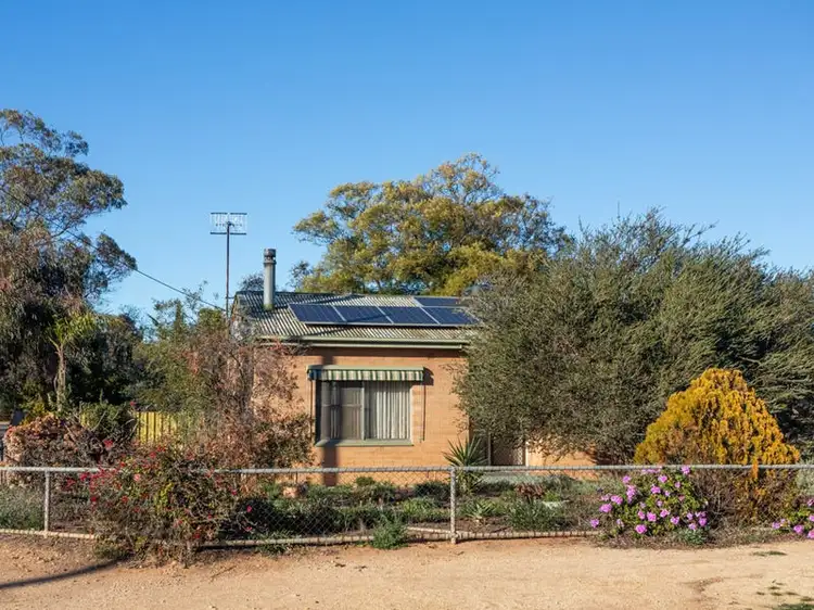Second view of Homely house listing, 19 McGregor Street, Berri SA 5343