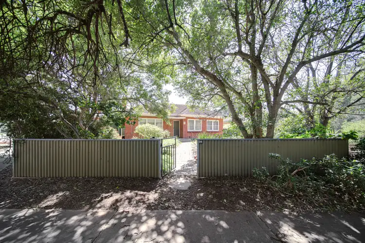 36 Minchinbury Terrace, Marion SA 5043