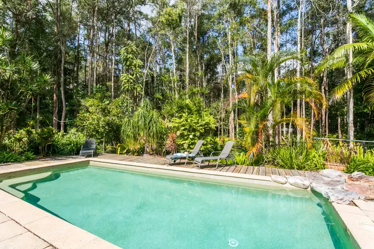 Second view of Homely house listing, 31 Eudlo Flats Road, Diddillibah QLD 4559
