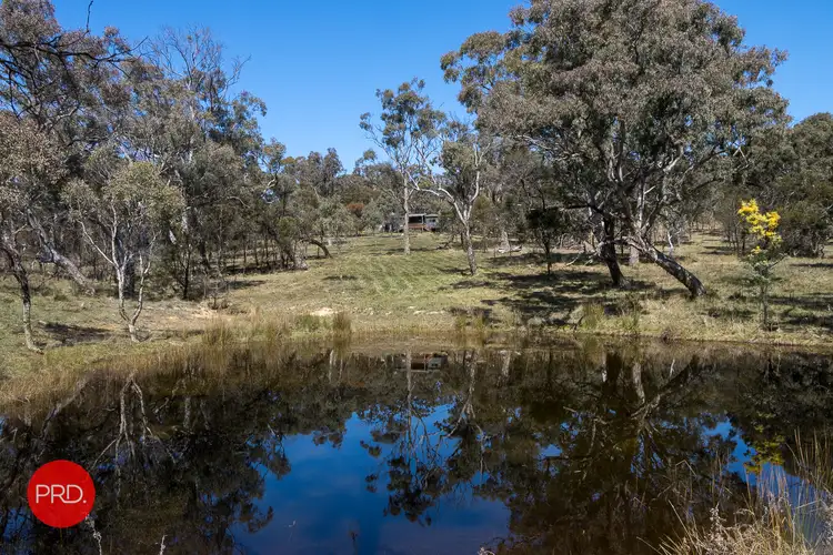 Third view of Homely rural property listing, 330 Spring Creek Road, Bungendore NSW 2621