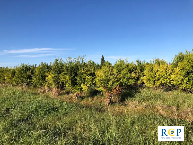 Fifth view of Homely rural property listing, 275 Channel Road, Orrvale VIC 3631