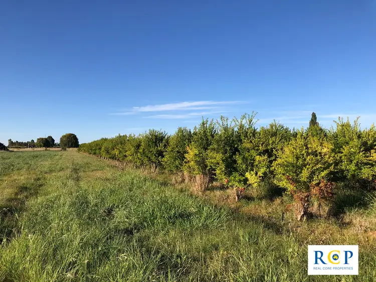 Sixth view of Homely rural property listing, 275 Channel Road, Orrvale VIC 3631