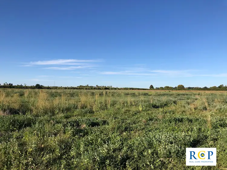 Sixth view of Homely rural property listing, 425 Doyles Road, Orrvale VIC 3631